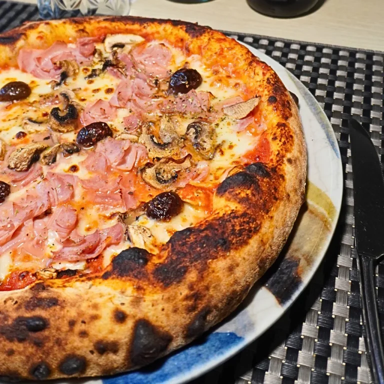makanan_pizza2